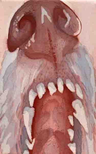 the way of all flesh delphian-37