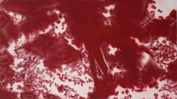 the way of all flesh delphian-50