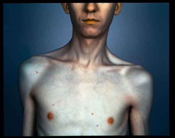 the way of all flesh delphian-57